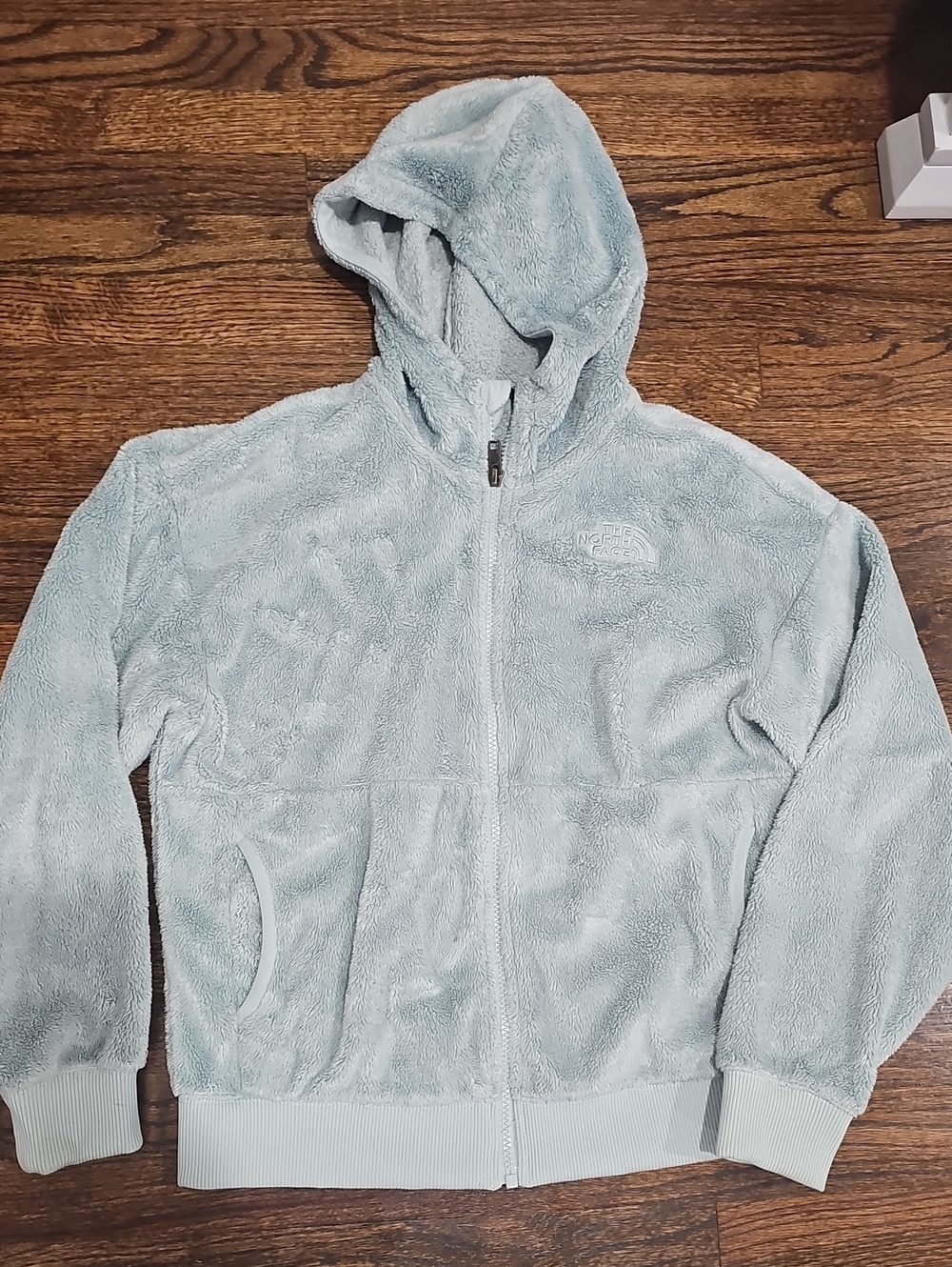 The North Face Light Blue Plush Zip Hoodie for Kids